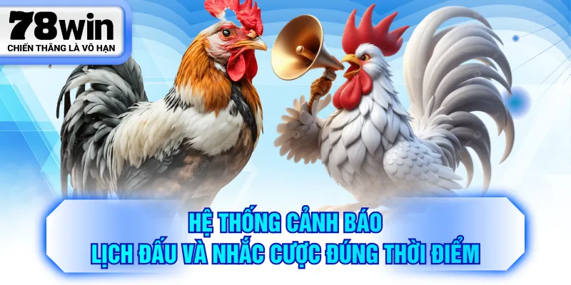 Hệ thống cảnh báo lịch đấu và nhắc cược đúng thời điểm