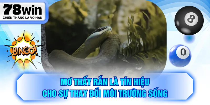 Mơ thấy rắn là tín hiệu cho sự thay đổi môi trường sống