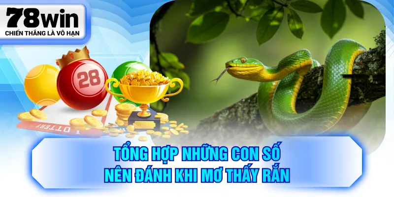 Tổng hợp những con số nên đánh khi mơ thấy rắn